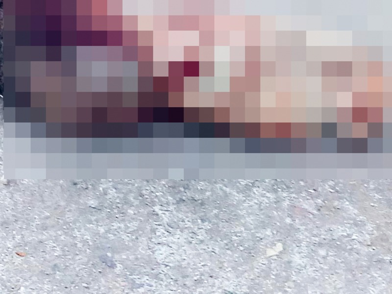 Photo of Recém-nascido é encontrado morto com sinais de mutilação em Itaboraí (COVARDIA)