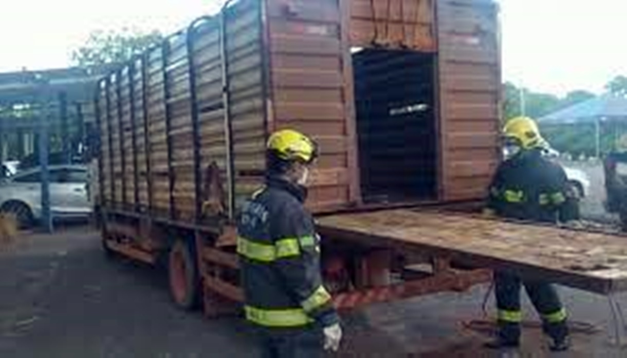 Photo of Ao invés de gado, caminhão boiadeiro levava droga avaliada em R$ 45 milhões.  BNRJ