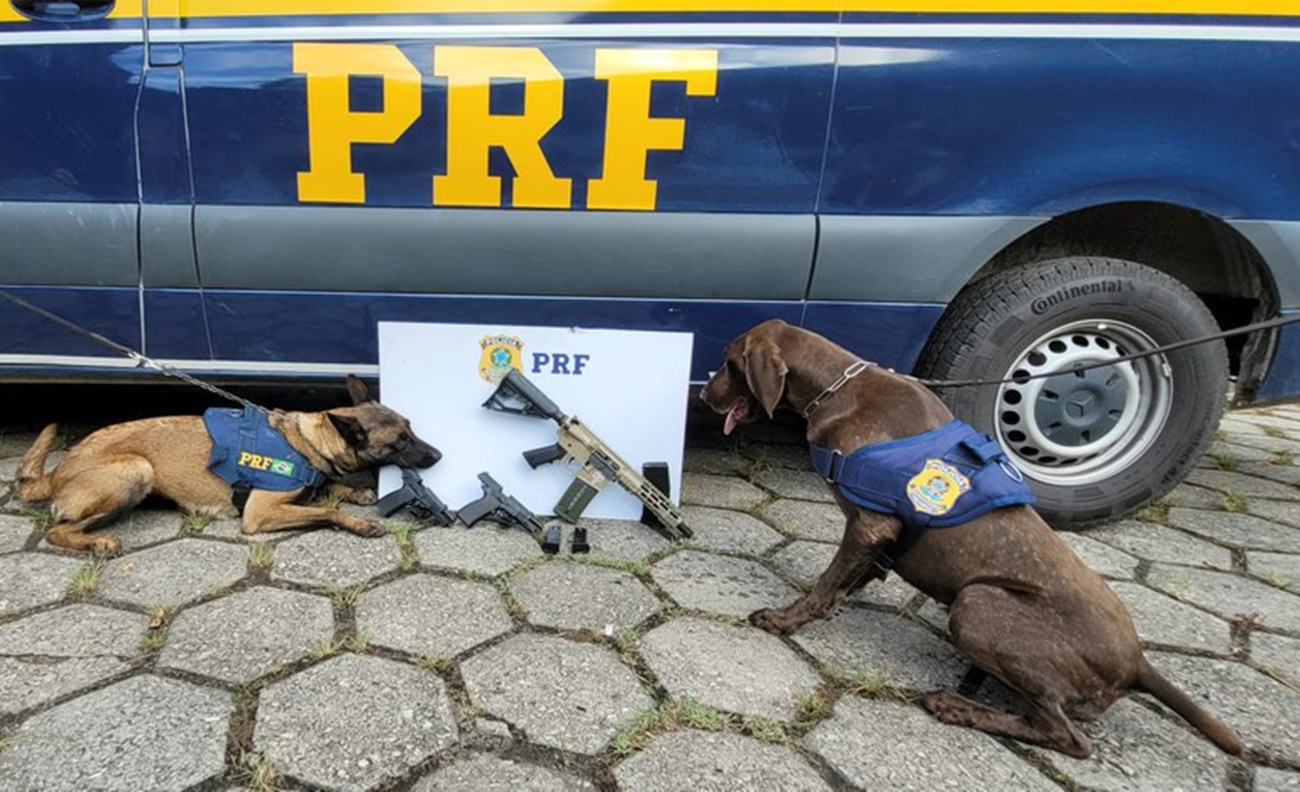 Photo of Polícia Rodoviária Federal apreende fuzil e pistolas de origem estrangeira  Banca de Noticias RJ