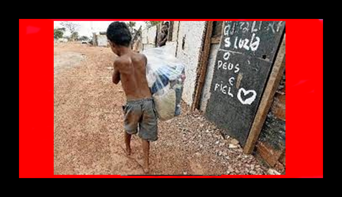 Photo of 33 milhões de pessoas passam fome no Brasil, aponta pesquisa  BNRJ