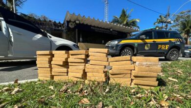 Photo of Polícia Rodoviária Federal apreende pasta base de cocaína avaliada em 6 milhões de reais  l Bnrj