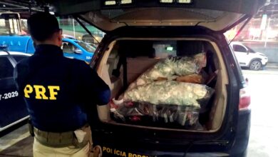 Photo of Polícia Rodoviária Federal apreende carga de cocaína avaliada em quase 10 milhões de reais   l  Banca de Notícias