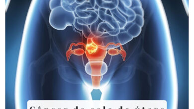 Photo of Câncer de colo de útero pode ser uma doença silenciosa ; Conheça os sintomas e prevenção