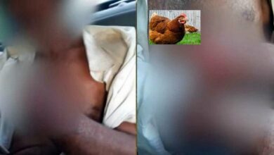 Photo of Fazendeiro decepa mão de funcionário que roubou galinha por não receber salário  l Brasil l Banca de Notícias RJ