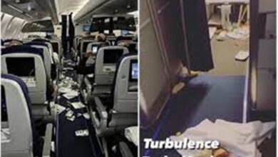 Photo of Pânico em voo nos Estados Unidos:  l  Banca de Notícias RJ