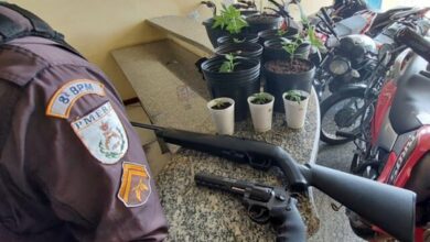 Photo of Polícia Milita apreende 14 pés de maconha e armas em Campos