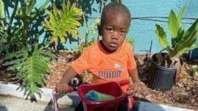 Photo of Corpo de garoto de 2 anos é encontrado dentro da boca de jacaré, na Flórida, nos Estados Unidos