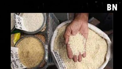 Photo of Por que proibição de exportação de arroz na Índia pode ser estopim para crise global