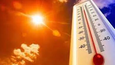 Photo of Julho foi o mês mais quente já registrado na Terra, diz observatório