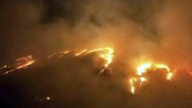 Photo of Incêndios florestais no Havaí: número de mortos sobe para 55