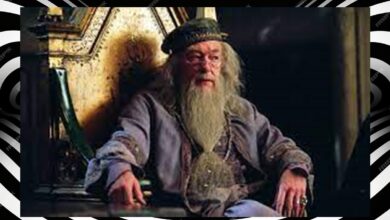 Photo of Michael Gambon, o ‘Dumbledore’ de Harry Potter, morre aos 82 anos / banca.com
