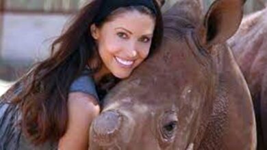 Photo of Atriz de ‘American pie’ salva rinoceronte cego da morte na África