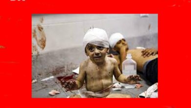 Photo of Criança ferida, família morta: a triste situação de centenas de crianças que ficaram órfãs em Gaza