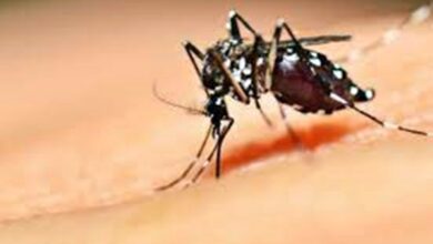Photo of Dengue: EUA emitem alerta para pessoas que vão viajar ao Brasil