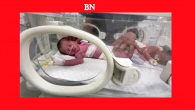 Photo of Após mãe ser morta em ataque de Israel bebê palestina nasce órfã em cesárea