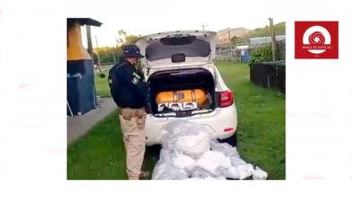 Photo of Polícia Rodoviária Federal apreende mais de 20 kg de cocaína na Região dos Lagos do Rio